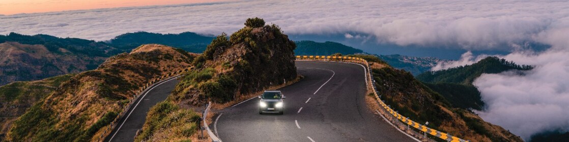 car driving in green field