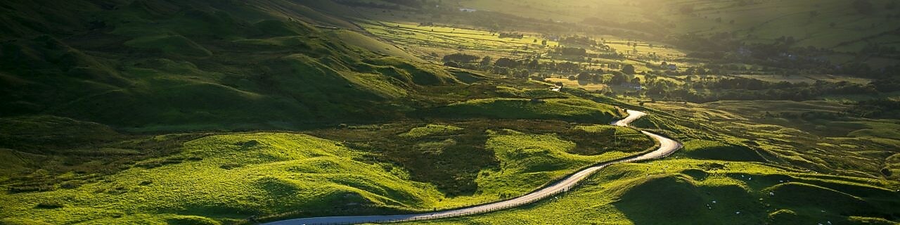 a road passing between green fields