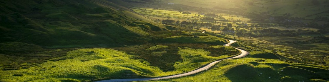 a road passing between green fields