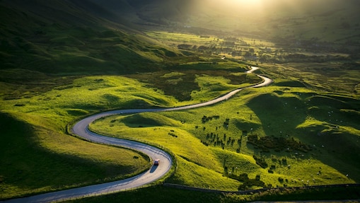 a road passing between green fields