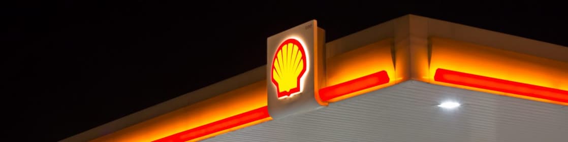 Shell pecten